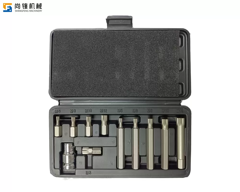 11pc Screwdriver Bit Set manufacturer oem factory china
