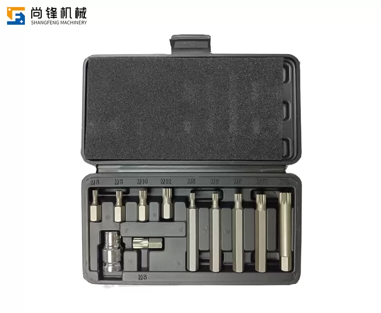 11pc Screwdriver Bit Set manufacturer oem factory china